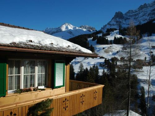 Adelboden Apartment | Apartment Bärgchutzli 1- Stock by Interhome