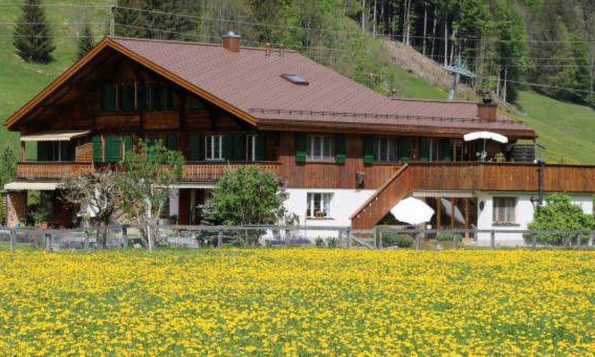 Gstaad Apartment | Baumerhus Appartement/Fewo, Dusche oder Bad, WC 2-Bettwohnung by Interhome