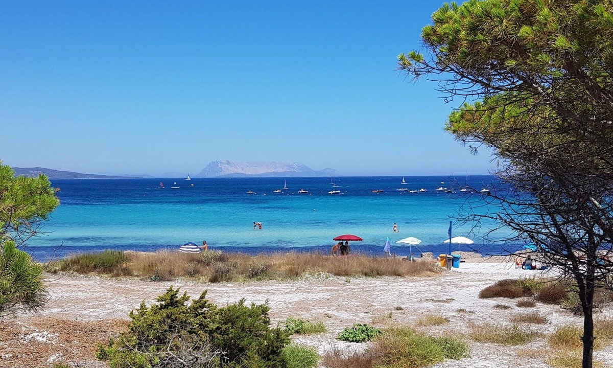 Schifoni Apartment | Beautiful apartment for 6 people with A/C, WIFI, TV, patio and pets allowed