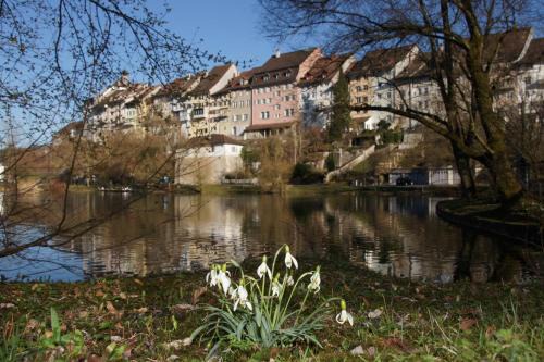 Wil House | Bett am Weiher