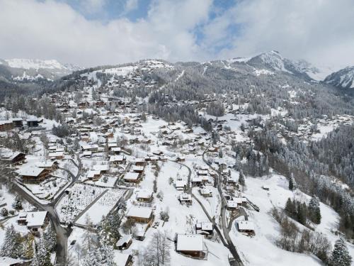 Barboleusaz Ski Chalet | Chalet Chalet Zan-Fleuron by Interhome