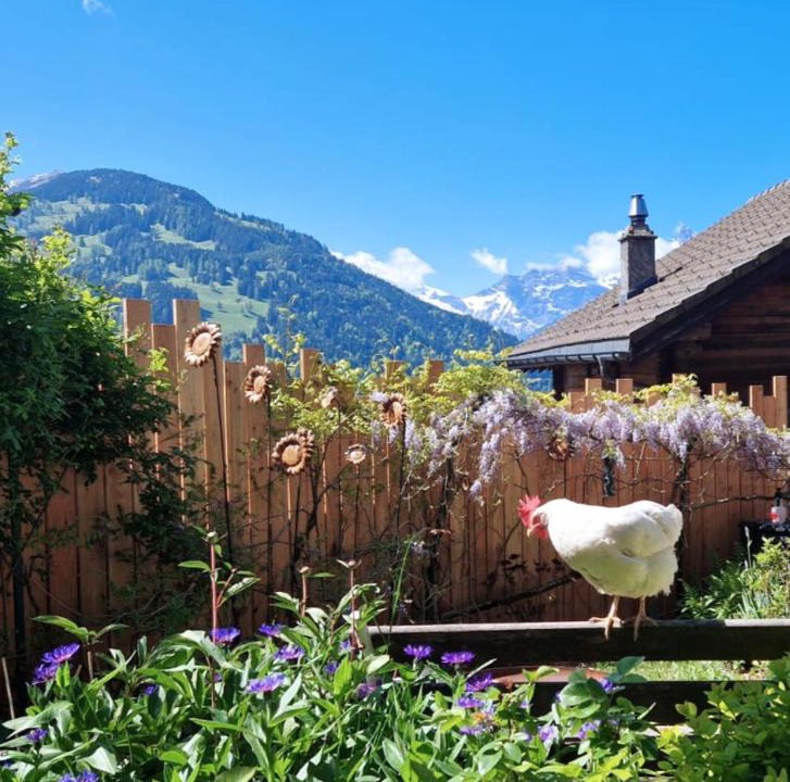 Les Posses-sur-Bex Ski Chalet | Chalet le Muveran