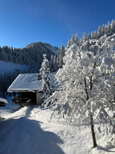 Champoussin Apartment | Chalet LYS Apartment 14 Rue Sigma