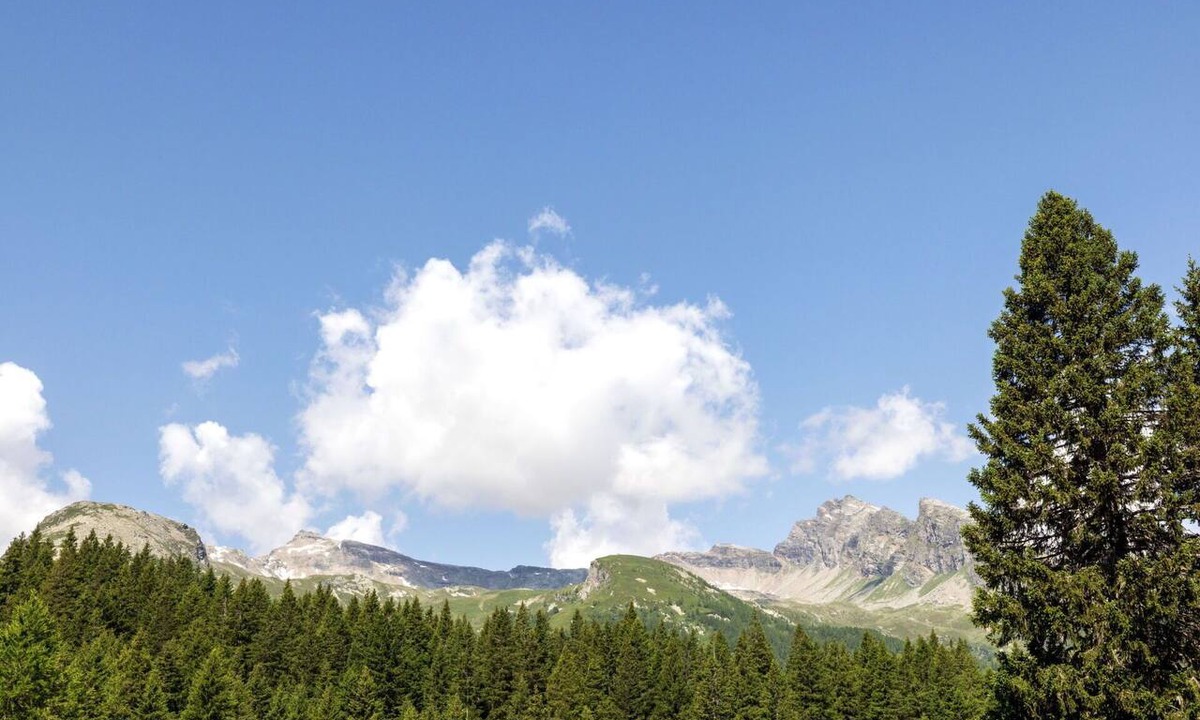Mesocco Apartment | Cosy apartment for 3 guests with WIFI, TV, patio and pets allowed