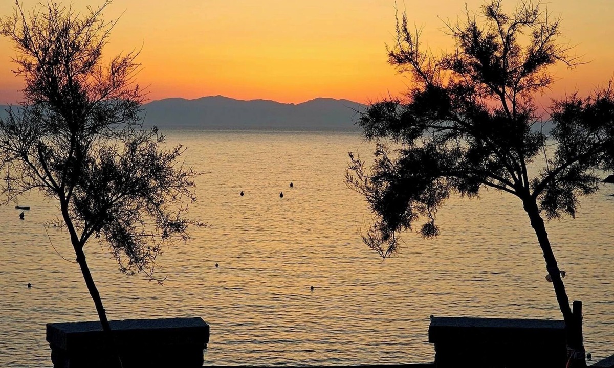 Pomonte Villa | Detached cottage in a quiet area, part seaside, part mountains, in Pomonte. Starting August 22