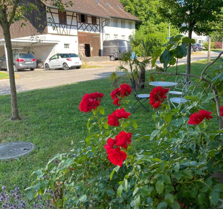 Schneisingen Bed & Breakfast | Dingqin'Home , 5425 Schneisingen
