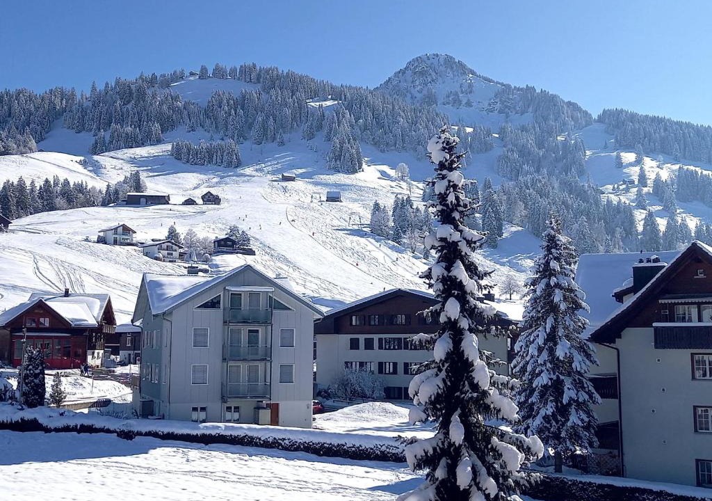Oberiberg Apartment | Hüslermatte 1