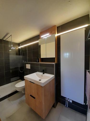 Nenzlingen Apartment | Kuhstall Suite mit Bad