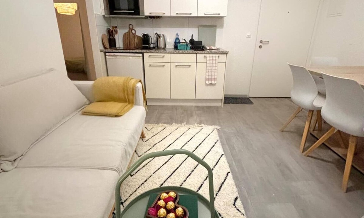 District 4 Apartment | Nice apartment with WiFi&Self Check-In in Center of Zürich