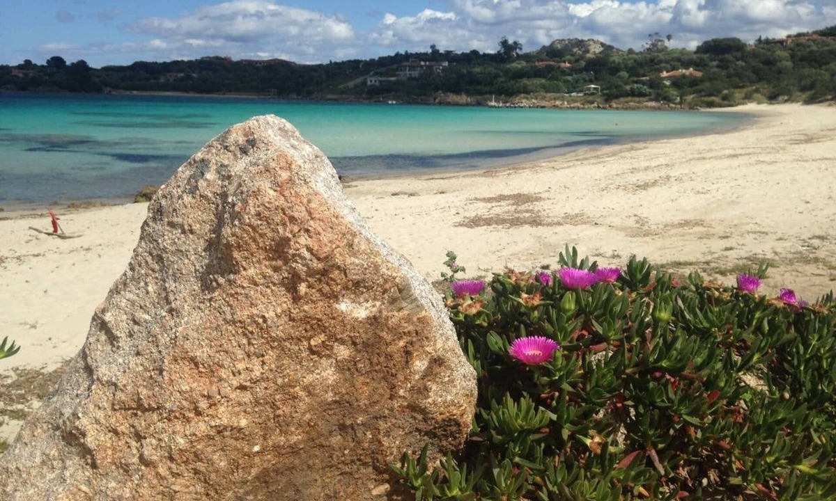 Porto Rotondo House | Punta Asfodeli, mini appt p.t. in residence 20m from the sea calls 3357414413