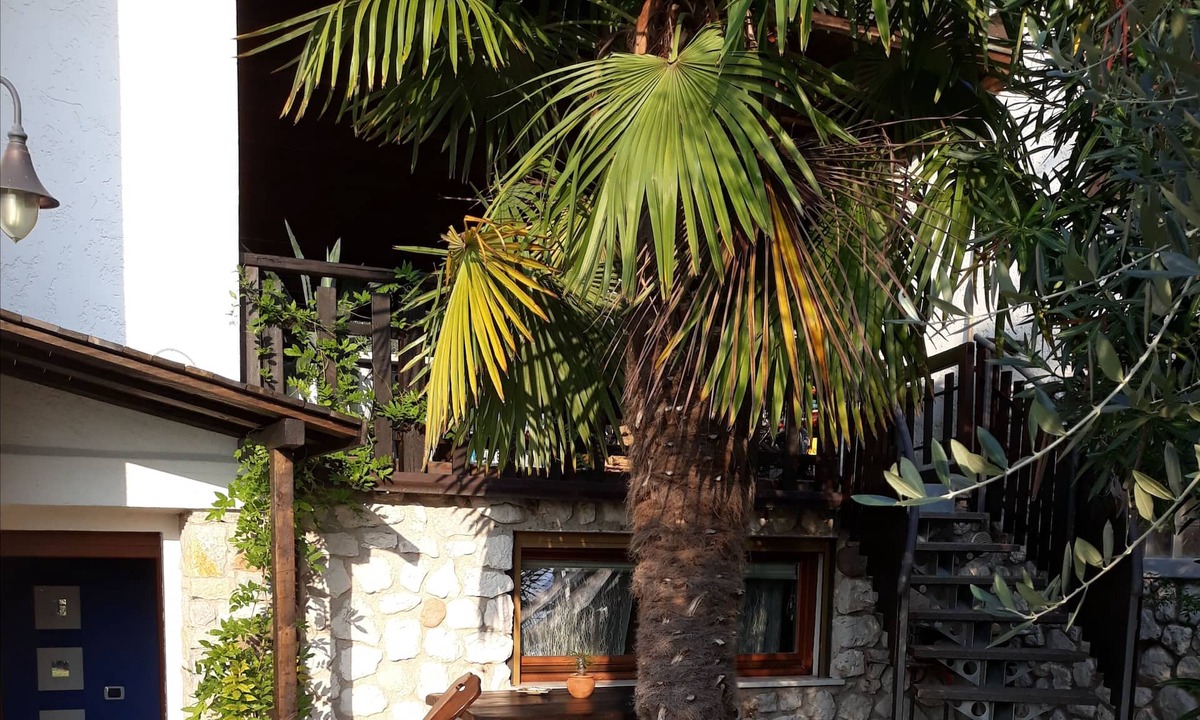 Malcesine House | Rocchetta Studio