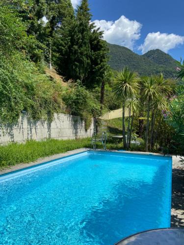 Riazzino Apartment | Sete Fontes - Agarone Holiday Nest