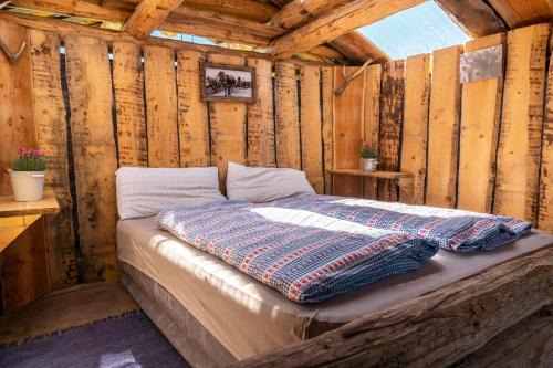 Riom-Parsonz House | Tgamon Somtgant mit Glasdach