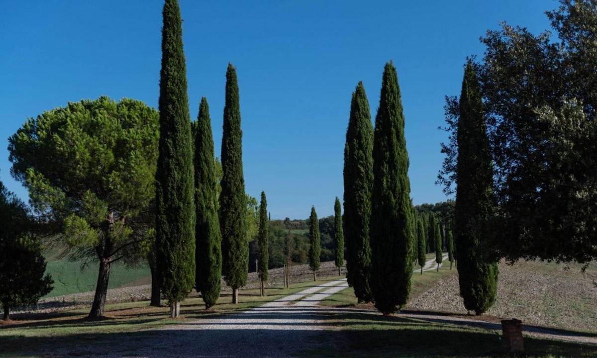 Siena Villa | Villa Charming on the Hills | Mixed of Authentic and Modern Tuscan Style