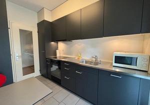 Spacious 1BR near Lake and Opera - Mill 3 11