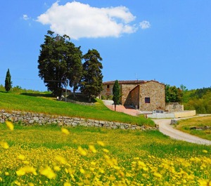 Locazione Turistica Selvapiana 