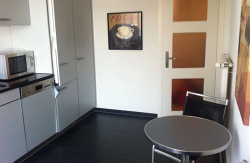 Muhlebach Apartment | 1BR apartment close to Bellevue (SF7)