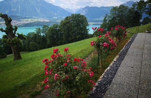Aeschlen ob Gunten Ski Chalet | 2-Storey Chalet Apartment Near Interlaken · Panoramic Lake Thun & Jungfrau Views