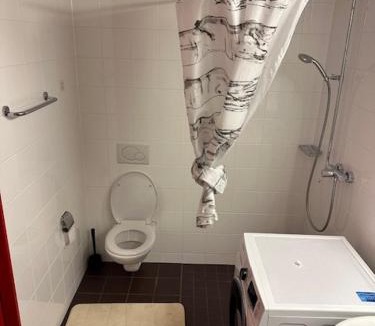 Wallisellen Apartment | A room in semi shared flat