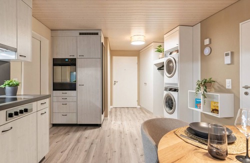 Altdorf Apartment | AlpsView Amber/FreeParking/AC/Andermatt/Lucerne