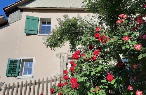Schaffhausen House | Anna Schmid Puurehuus by Interhome
