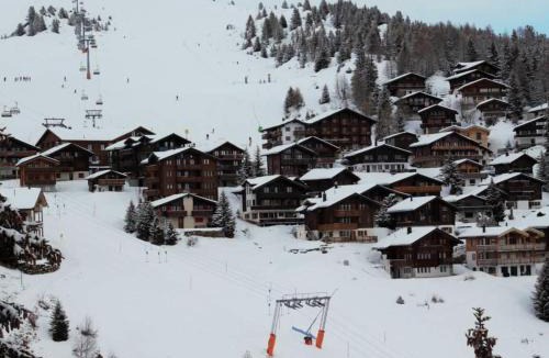 Bettmeralp Apartment | Apartment Bärgblüemli 1- OG West by Interhome