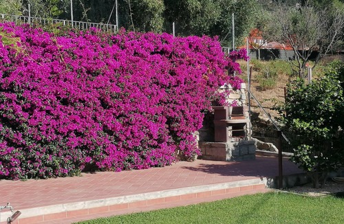 Patresi House | Apartment Il Mirto with Mediterranean Garden and Sea View