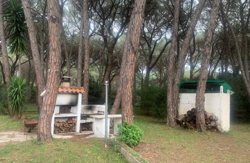 Marina di Grosseto Apartment | Appartamento in pineta La Falena