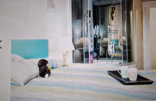 Chia Bed & Breakfast | At 28 minutes from Rome app at historic center 1 m.from Castle 6 places pets ok