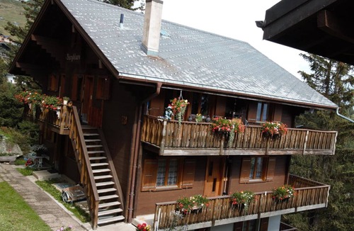 Bettmeralp Apartment | Bärgblüemli 1. OG Ost Studio, Dusche oder Bad, WC 1 1/2 Zimmerwohnung, 2-Betten by Interhome