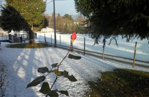 Tricesimo Bed & Breakfast | B&B Cuei di Baret