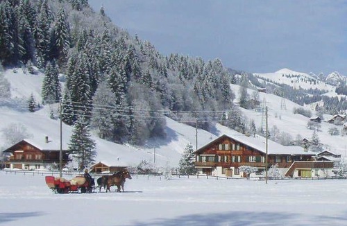Gstaad Apartment | Baumerhus Appartement/Fewo, Dusche oder Bad, WC 2-Bettwohnung by Interhome