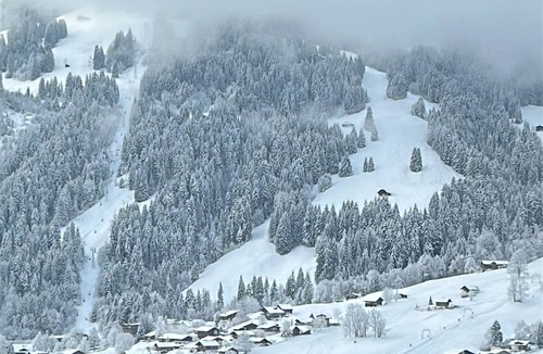 Lenk Apartment | Bijou with a great view - Gorgeous 2-bedroom apartment in welcoming Lenk