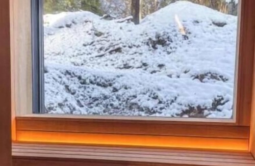 Laax Apartment | Black Summit Boutique Resort Laax: Holiday apartment MASEGN