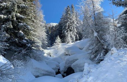 Valtellina Apartment | Chalet dei sogni Valtellina Gerola alta Pescegallo