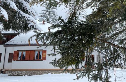 Pescasseroli Apartment | Chalet dell'Orso
