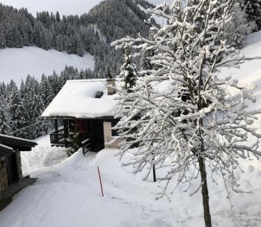Champoussin Apartment | Chalet LYS Apartment 14 Rue Sigma