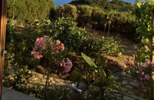 Pisciotta Cottage | Charming detached cottage cladded with local stone and with sea views.