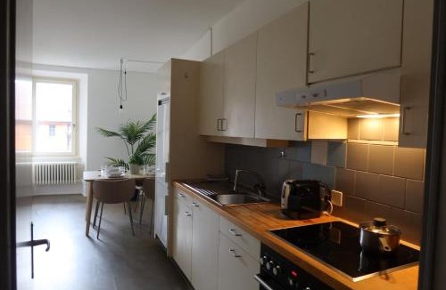 Aarau Apartment | Charming Studio 111 - Krone