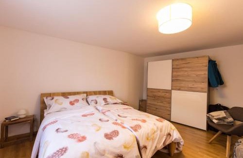 Engadin Scoul Apartment | Chasa Praem, Scuol