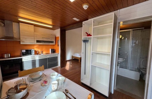 Central Interlaken Apartment | DownTown Apartments