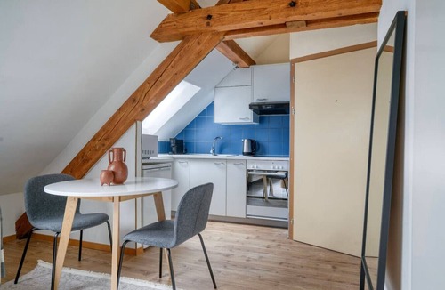 Wipkingen Apartment | Eagle Suite · Grosses Dachstudio in Wipkingen