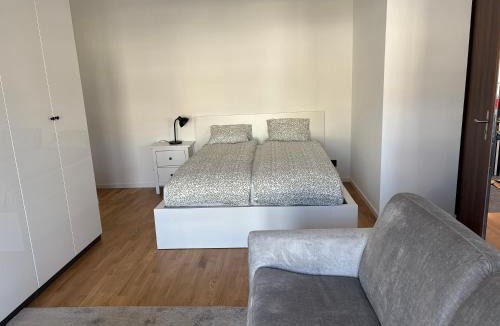 Lausanne Apartment | Expérience unique à Lausanne, Top floor Apartment on Lausanne Train Station