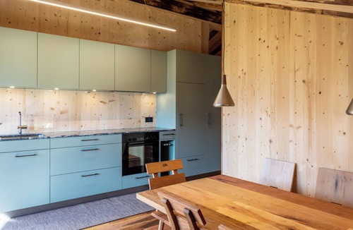 Affeier Apartment | Ferienhaus Regan, Obersaxen-Valata, (Surcuolm), 38044B by Interhome