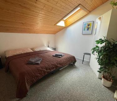 Ernen Apartment | Ferienwohnung Doxa