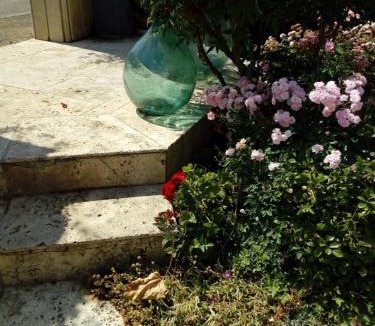 Castelnuovo dei Sabbioni Apartment | Grazioso appartamento alle porte del chianti