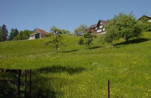 Eggersriet House | «Hüsli» by Interhome