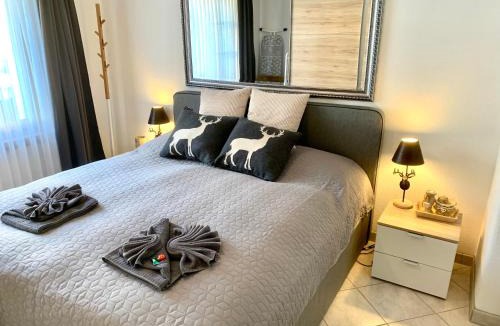 Davos-Platz Apartment | Holiday Apartment Gian - close to the Kongresshaus, the ice hockey stadium, cross-country skiing, the Eau-la-la indoor pool and wellness, large supermarket, 2 bus stops, with an indoor garage and fully equipped