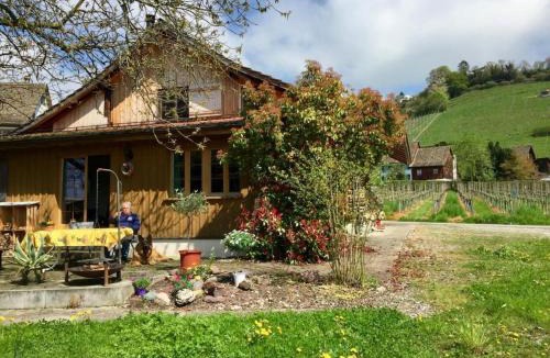 Meilen District House | Holiday Home in Stäfa by Interhome