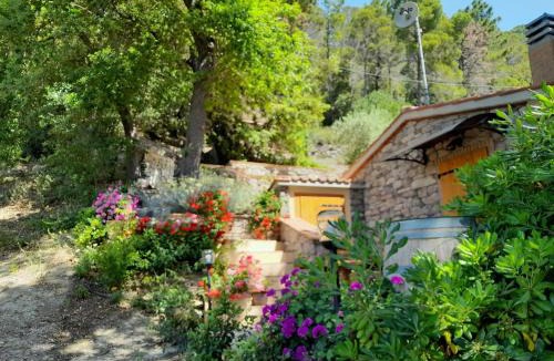 Castellina Marittima House | Holiday Home Home Relax by Interhome